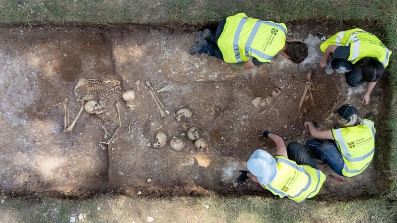 Viking Skull Reveals 9th-Century Brain Surgery Success - Image 3