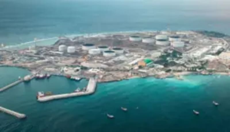 UAE Launches AI Health Program for Family-Centered Care - Image 2