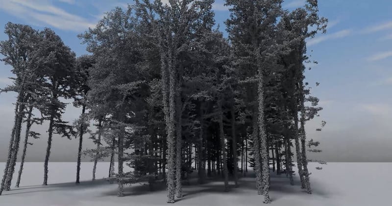 AI Maps Every Tree in Forests Using Radar Technology