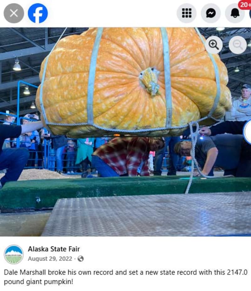 Alaska May Crown 138-Pound Cabbage as State Vegetable - Image 2
