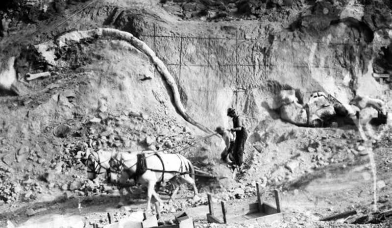Parking Lot Work Unearths First Dinosaur in Utah Since 1924 - Image 4