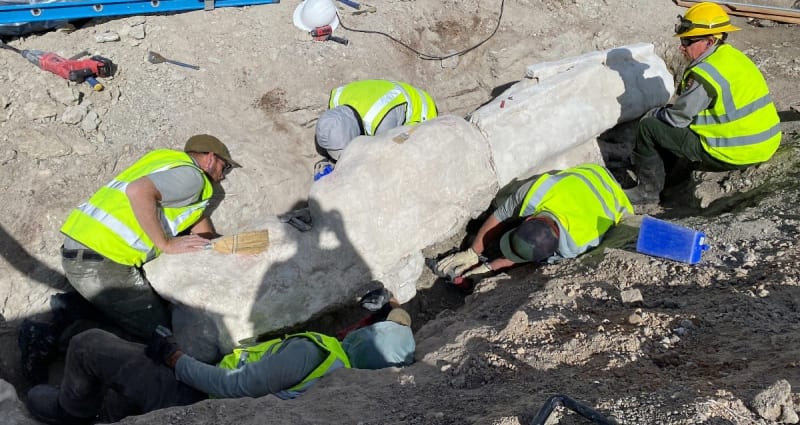 Paleontologists carefully excavate ancient Diplodocus fossil from parking lot construction site at Dinosaur National Monument
