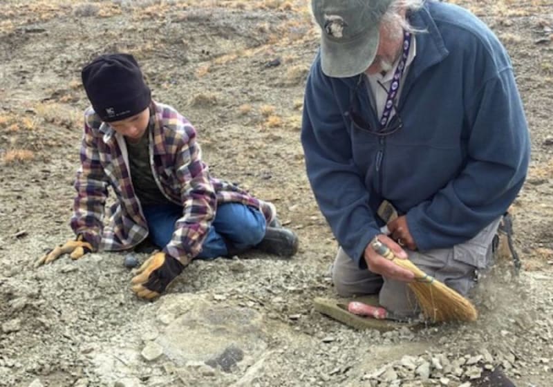 11-Year-Old Finds 48-Million-Year-Old Turtle in Wyoming - Image 3