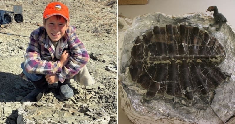 11-Year-Old Finds 48-Million-Year-Old Turtle in Wyoming