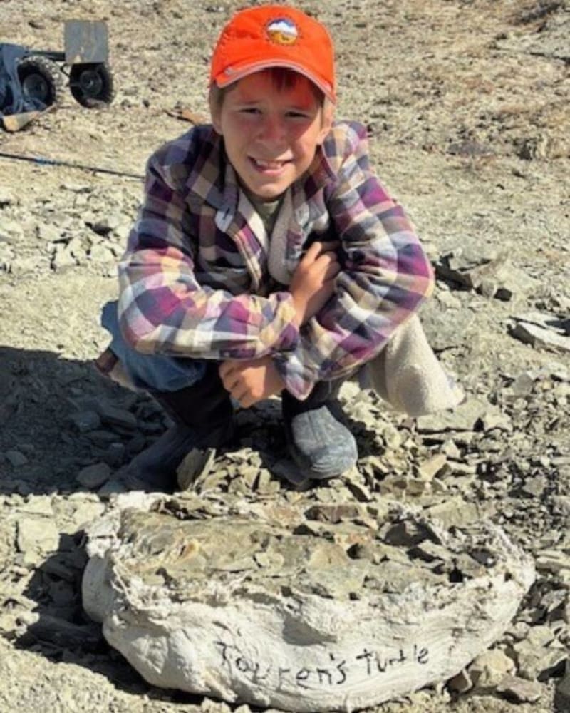 11-Year-Old Finds 48-Million-Year-Old Turtle in Wyoming - Image 2