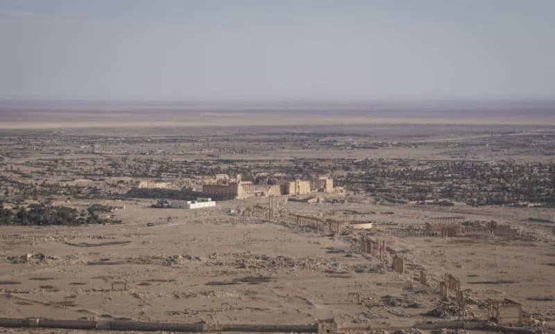 Egypt Backs Syria Ceasefire, Calls for Unified Peace Process - Image 2