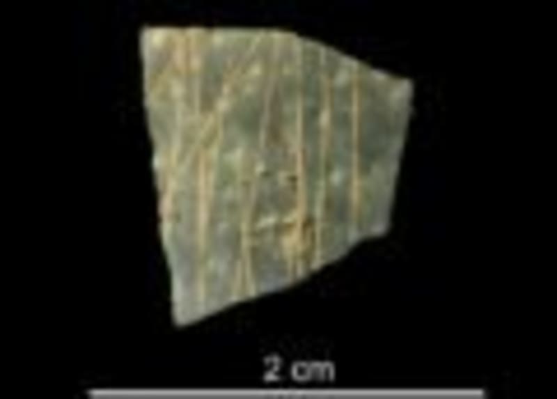 Ancient DNA Reveals Neanderthal-Human Mating Patterns - Image 2