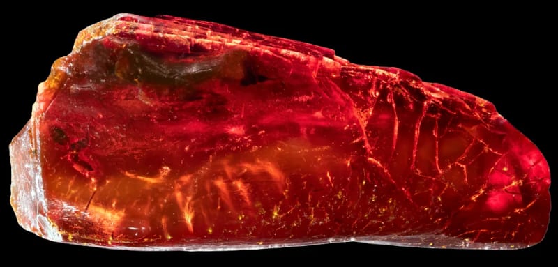 Goethe's 200-Year-Old Amber Hides 40-Million-Year-Old Ant