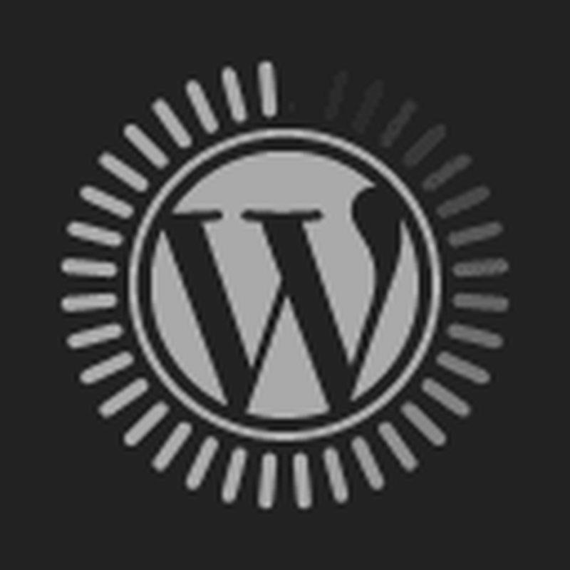 Deminer Found Ancient Weapons While Clearing War Minefields - Image 4