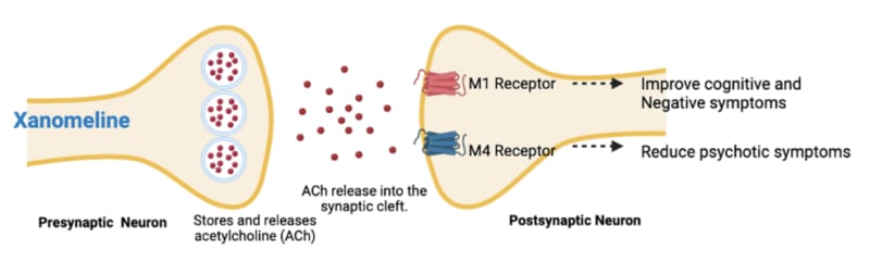 New Schizophrenia Drug Offers Hope Without Weight Gain