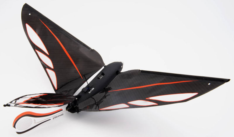 French Engineer Creates Bird-Drone That Flies Indoors - Image 4