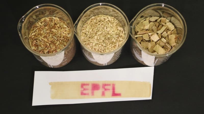 Scientists Turn Wood Waste Into Non-Toxic Receipts - Image 4