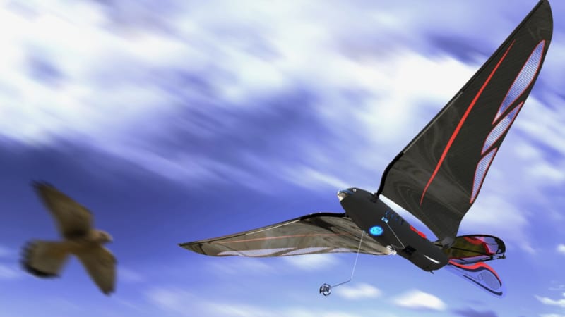 French Engineer Creates Bird-Drone That Flies Indoors - Image 2