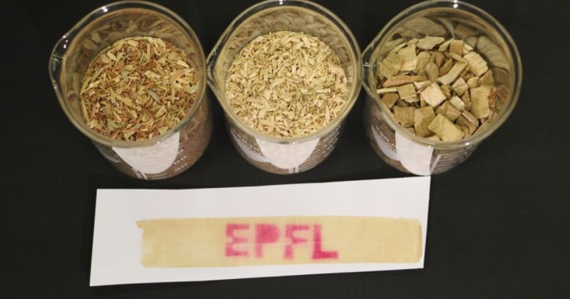 Scientists Turn Wood Waste Into Non-Toxic Receipts