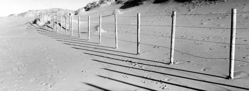 New $784 Camera Makes Panoramic Film Photography Affordable - Image 5