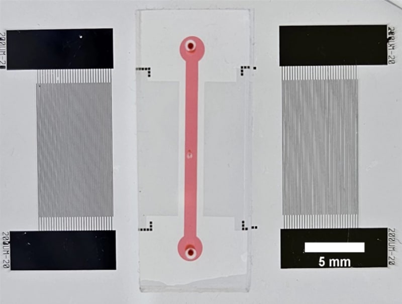 Tiny Chip Tests Blood Quality in 2 Minutes - Image 5