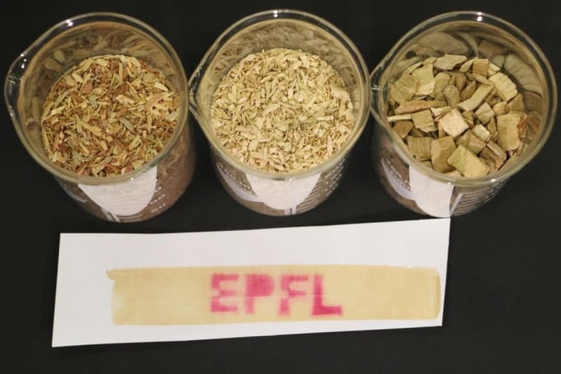 Scientists Turn Wood Waste Into Non-Toxic Receipts - Image 3