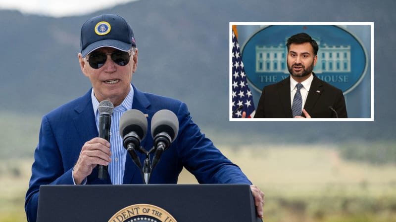 India Hits 2030 Clean Energy Goal 5 Years Early - Image 2