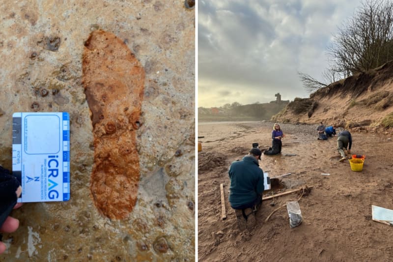 Dog Walkers Find 2,000-Year-Old Footprints in Scotland
