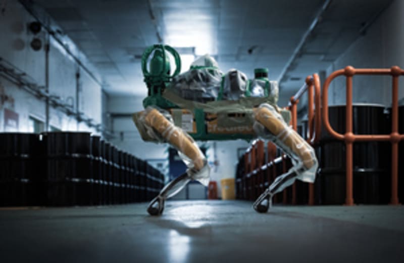 Robot Dogs Clean UK's Most Dangerous Nuclear Site - Image 2