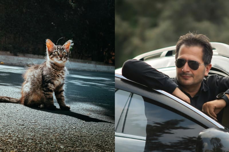 Louisiana Man's Roadside Rescue Turns into 13-Kitten Adventure