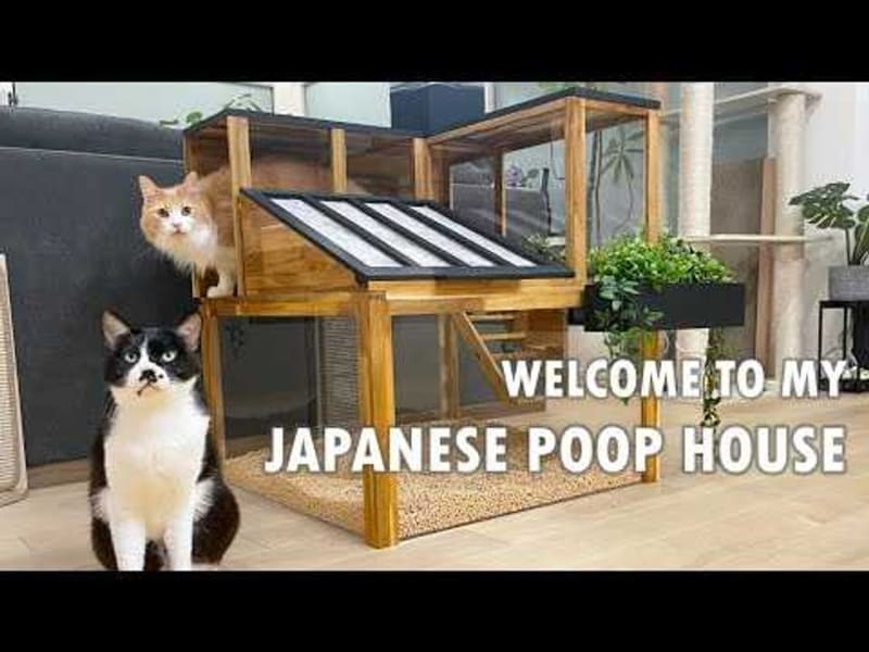 Japanese Couple's Ingenious Cat Litter Box Design Solves Feline Bathroom Woes