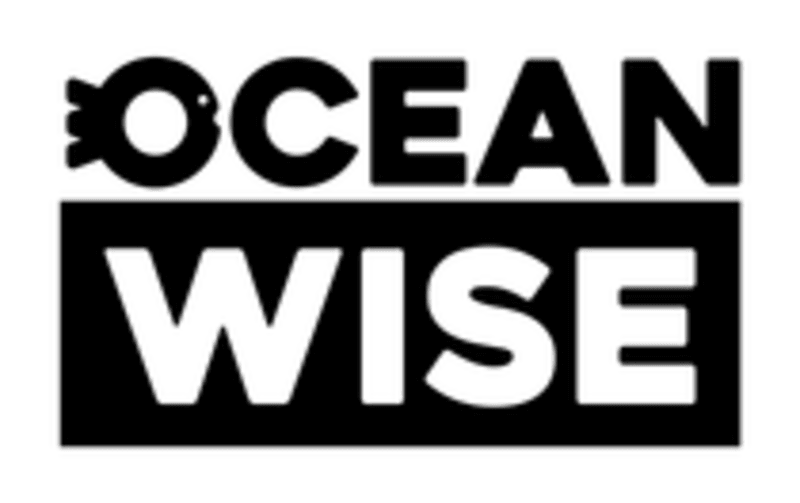 Ancient 'Empty Boat' parable goes viral on TikTok - Image 4