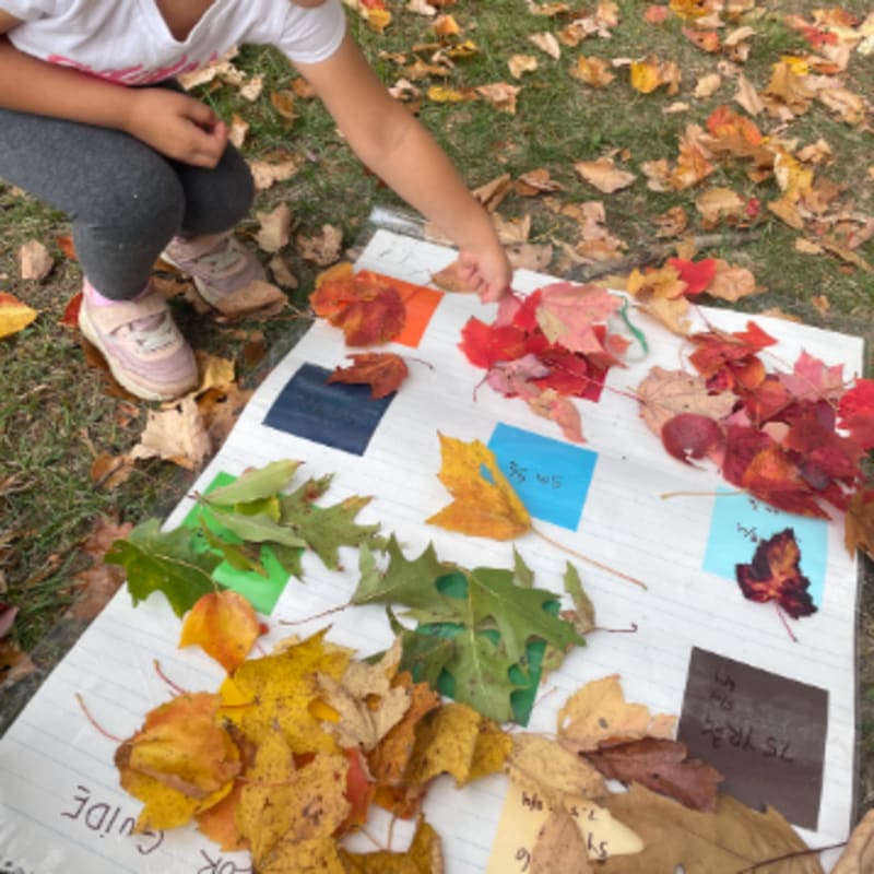 1,500 Students Help NASA Track Fall Leaves for Climate Data - Image 2
