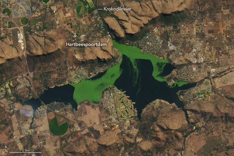 Scientists Use Satellites to Monitor and Combat Algae Blooms in South African Reservoir - Image 4