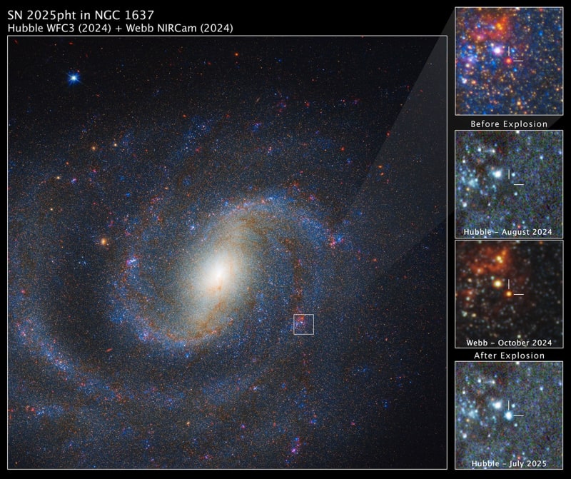 Webb Telescope Spots Star Before It Exploded as Supernova - Image 2