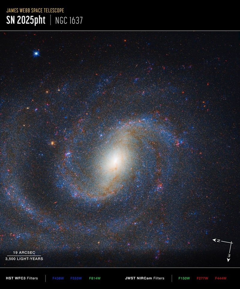 Webb Telescope Spots Star Before It Exploded as Supernova - Image 4