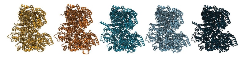Scientists Bring 3.2-Billion-Year-Old Enzyme Back to Life - Image 3