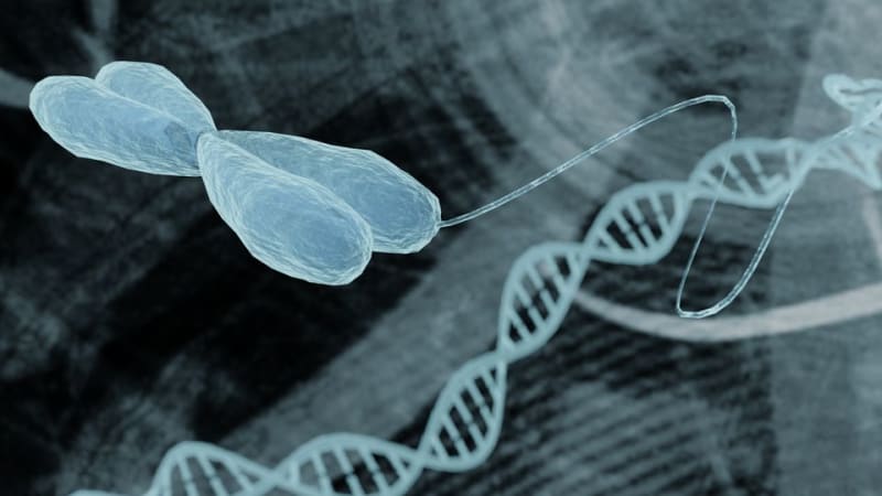 New Cancer Drug Could Cut Treatment Time, Ease Side Effects - Image 2