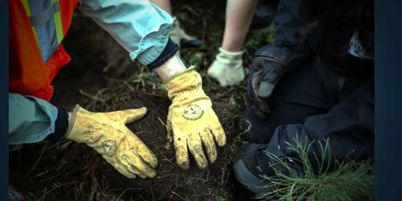 MLK Day: Volunteers Restore Parks in Burien and SeaTac
