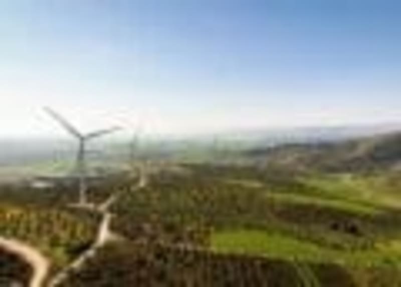 Poland Launches 53 MW Wind Farms Powered by Amazon Deal - Image 4