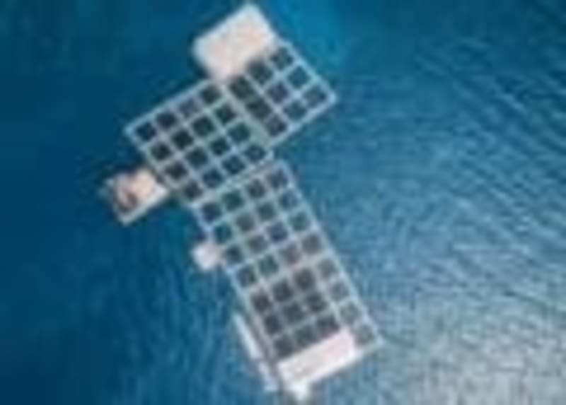 Swedish Jellyfish-Inspired Solar Cells Glow Like Life - Image 3