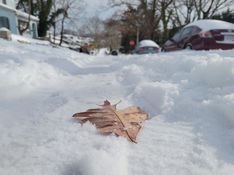 Volunteer shoveling snow from residential sidewalk to help elderly Baltimore neighbor during winter storm