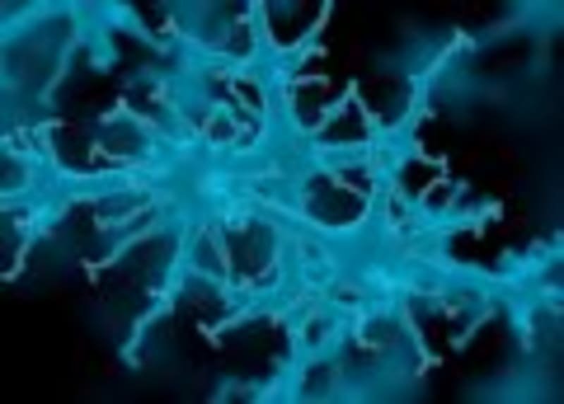 Scientists Find New Way to Fight Antibiotic-Resistant Bugs - Image 2