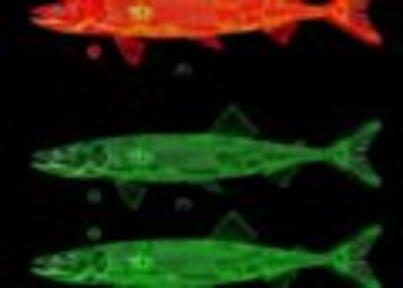 New mRNA Malaria Vaccine Beats Parasite's Defense System - Image 3