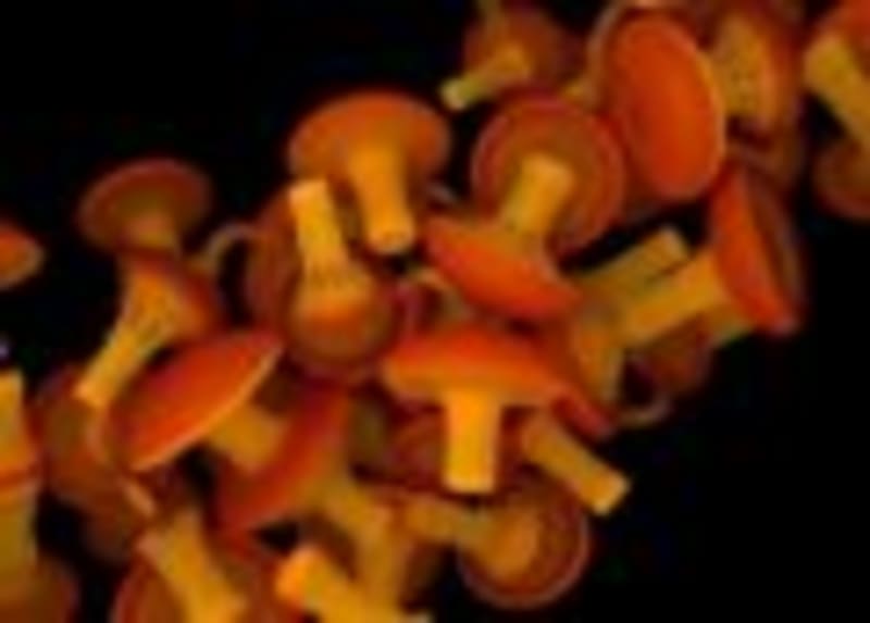 UChicago Scientists Make EV Batteries Cheaper and Better - Image 3