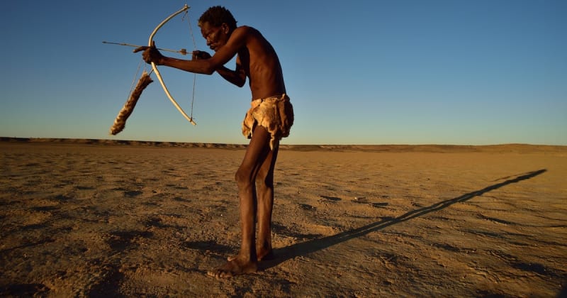 Ancient Discovery Reveals Human Ancestors' Remarkable Plant Knowledge 60,000 Years Ago