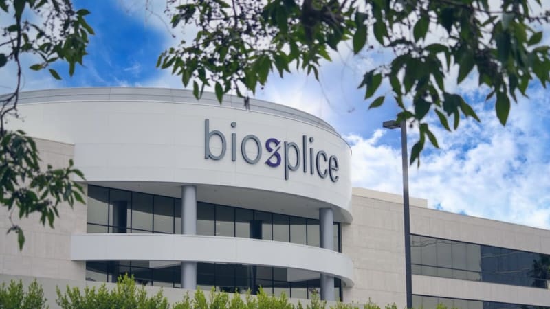 South Korea Races US for First Arthritis-Slowing Drug - Image 3