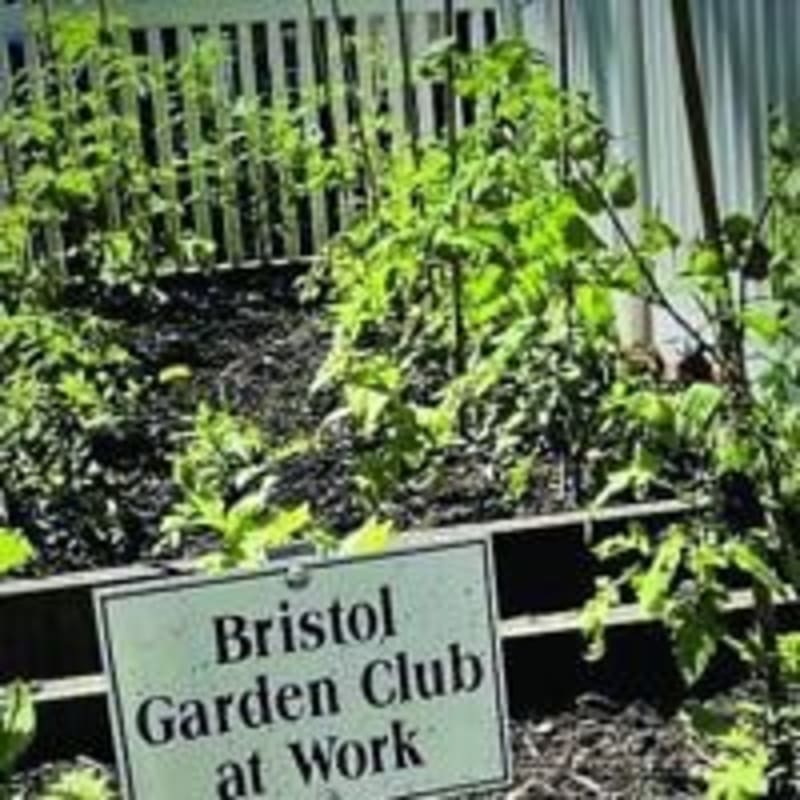 Bristol Garden Club Awards $2,000 Green Career Scholarship