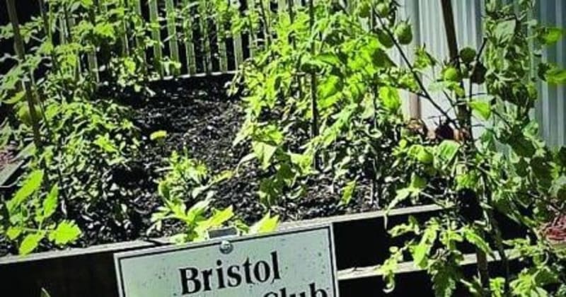 Bristol Garden Club Awards $2,000 Green Career Scholarship - Image 2