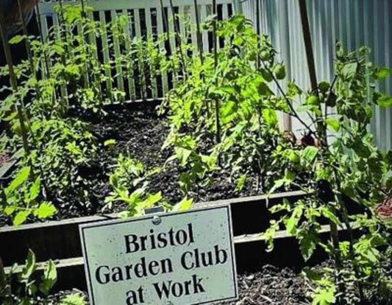 Bristol Garden Club Awards $2,000 Green Career Scholarship - Image 5