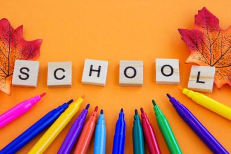 Arizona School Choice Program Reaches 100,000 Students - Image 4