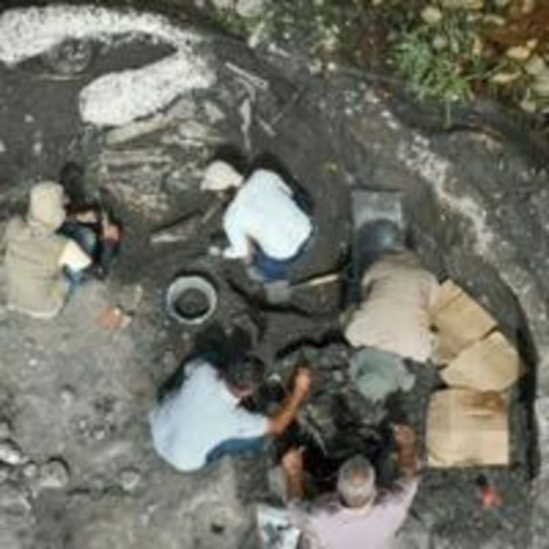 Costa Rica Unearths 40,000-Year-Old Mastodon, Giant Sloth