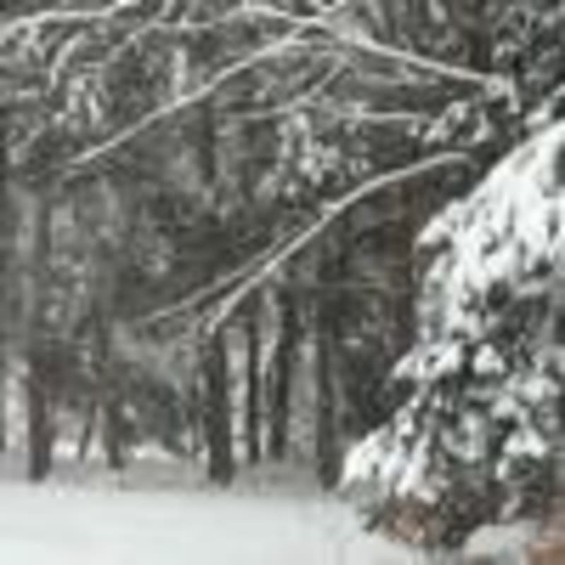 NH House Passes Mental Health Support for Volunteer Medics - Image 3