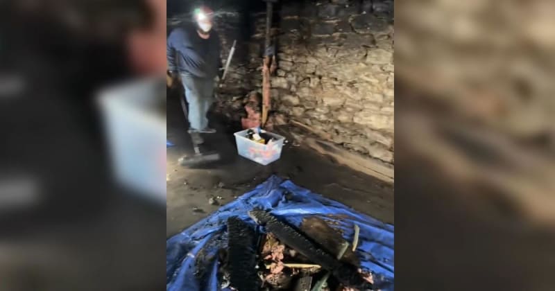 Iowa Cat Shelter Rebuilds After Fire With Help From Volunteers