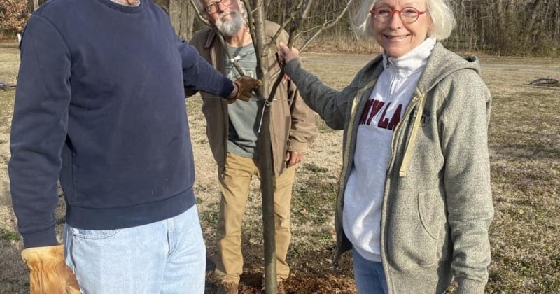 11 Volunteers Plant 50 Trees at McAlester Park